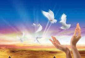 熱烈慶祝我公司網(wǎng)站正式上線(xiàn)！